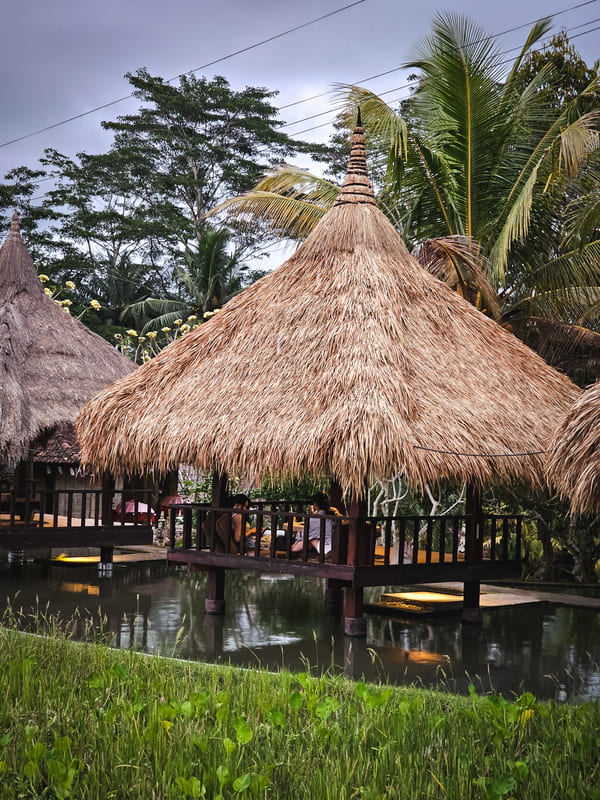 Campuhan Ridge Walk ubud bali