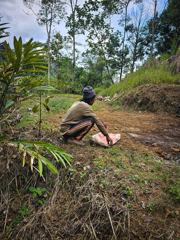 Tegalalang Rice Terraces