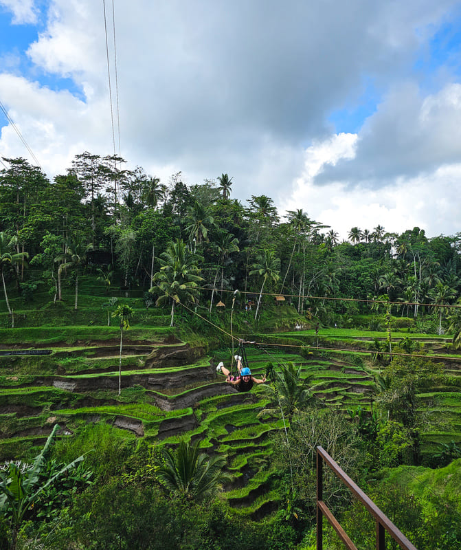 Tegalalang Rice Terraces