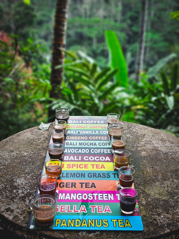 piantagione di caffe