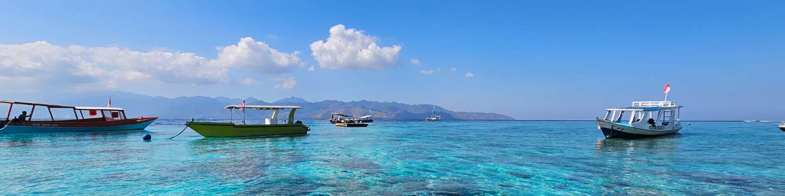 blog sognatricerrante