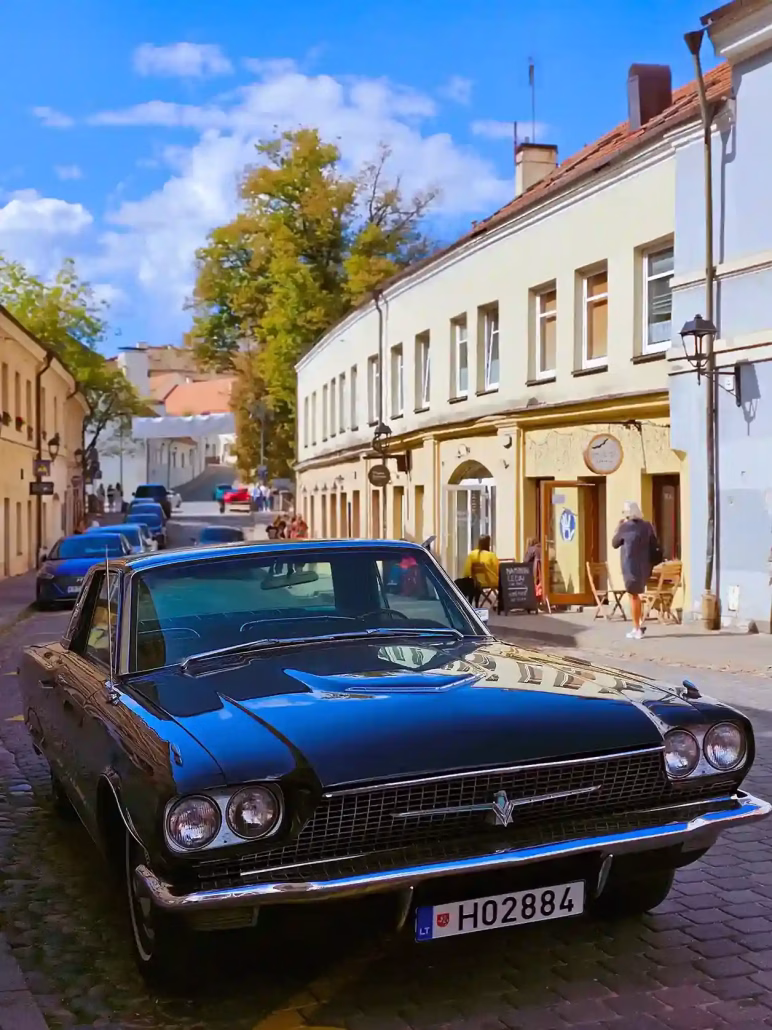 cosa vedere a vilnius uzupis