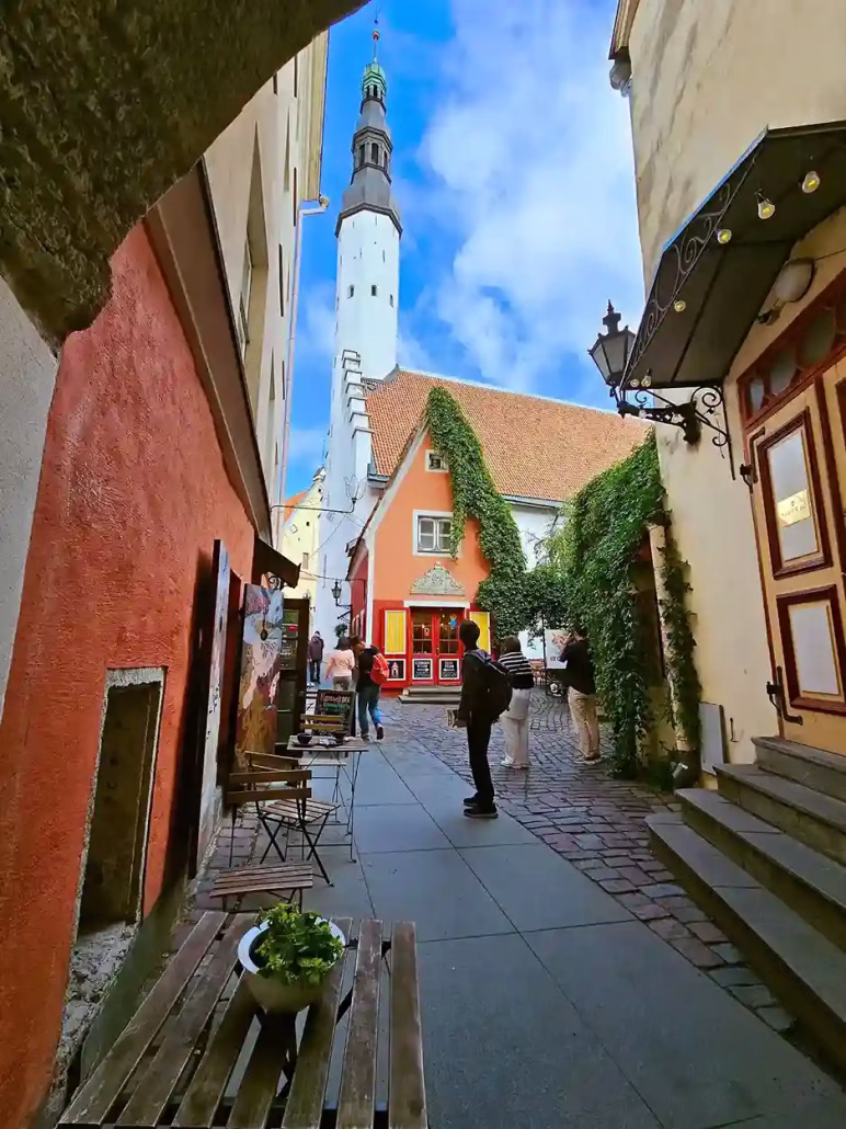  cose da vedere a tallinn