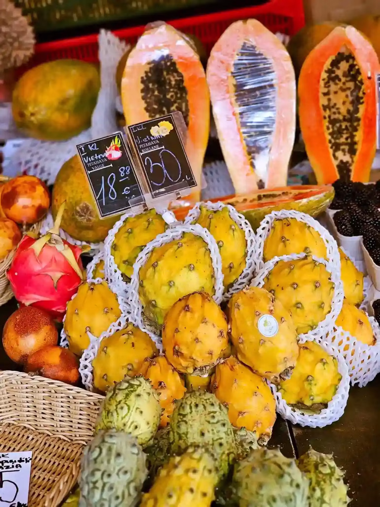 tallinn luoghi di interesse