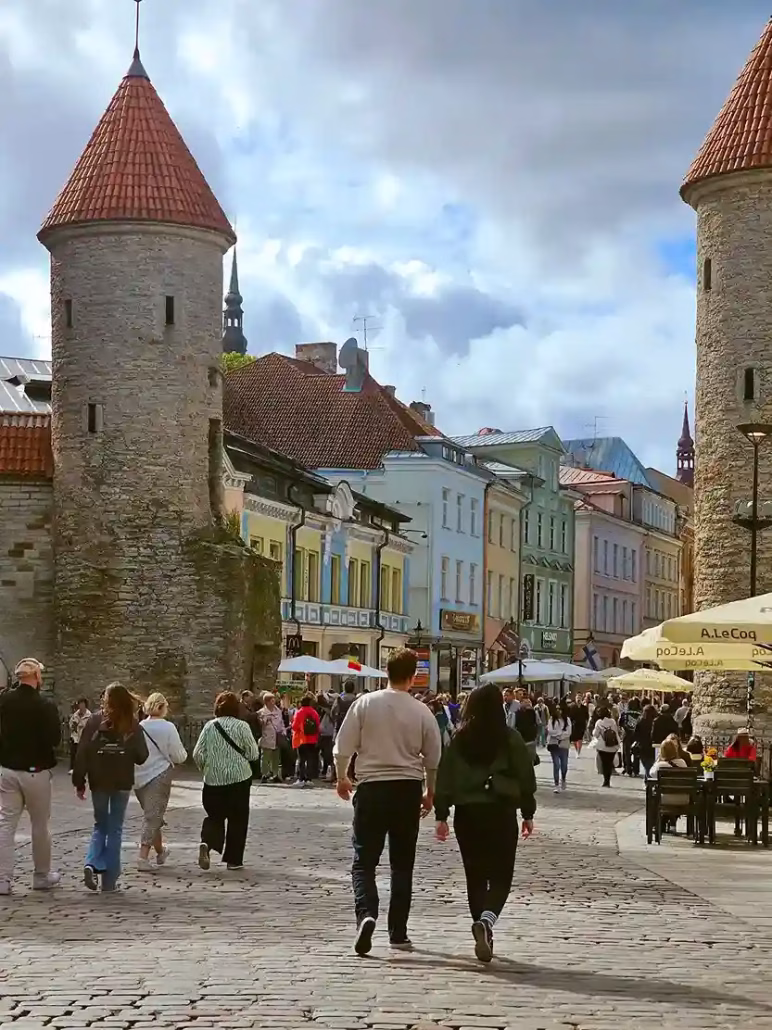 tallinn visitare città vecchia