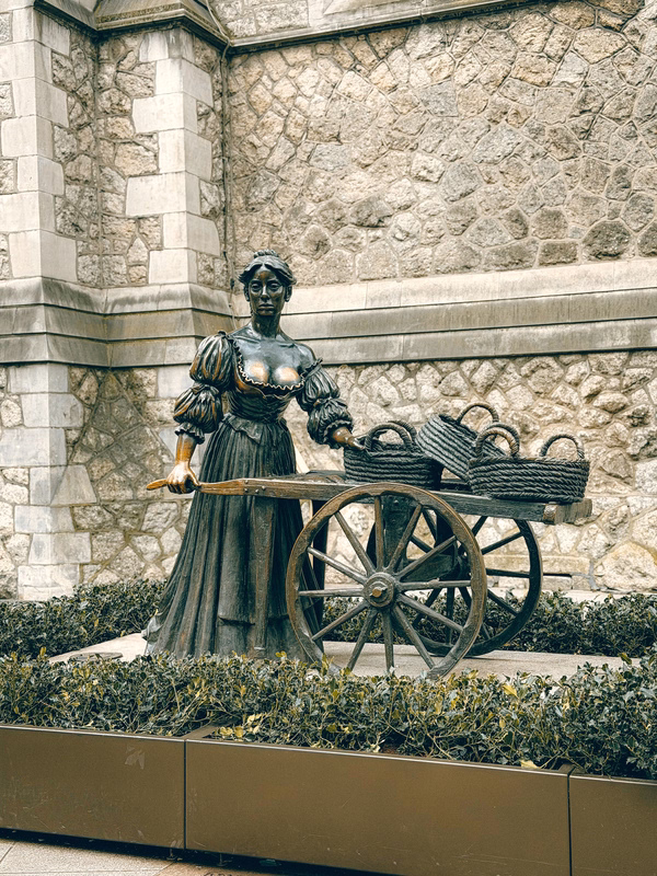 cosa vedere a dublino molly malone