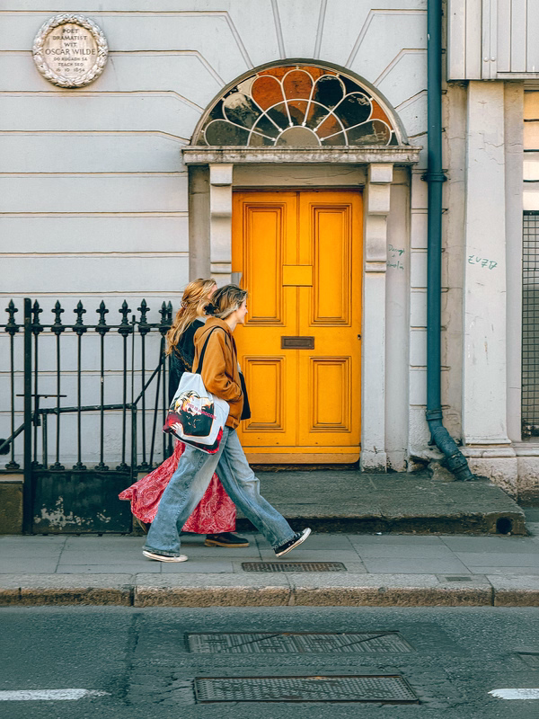 porte di dublino colorate a Merrion Square