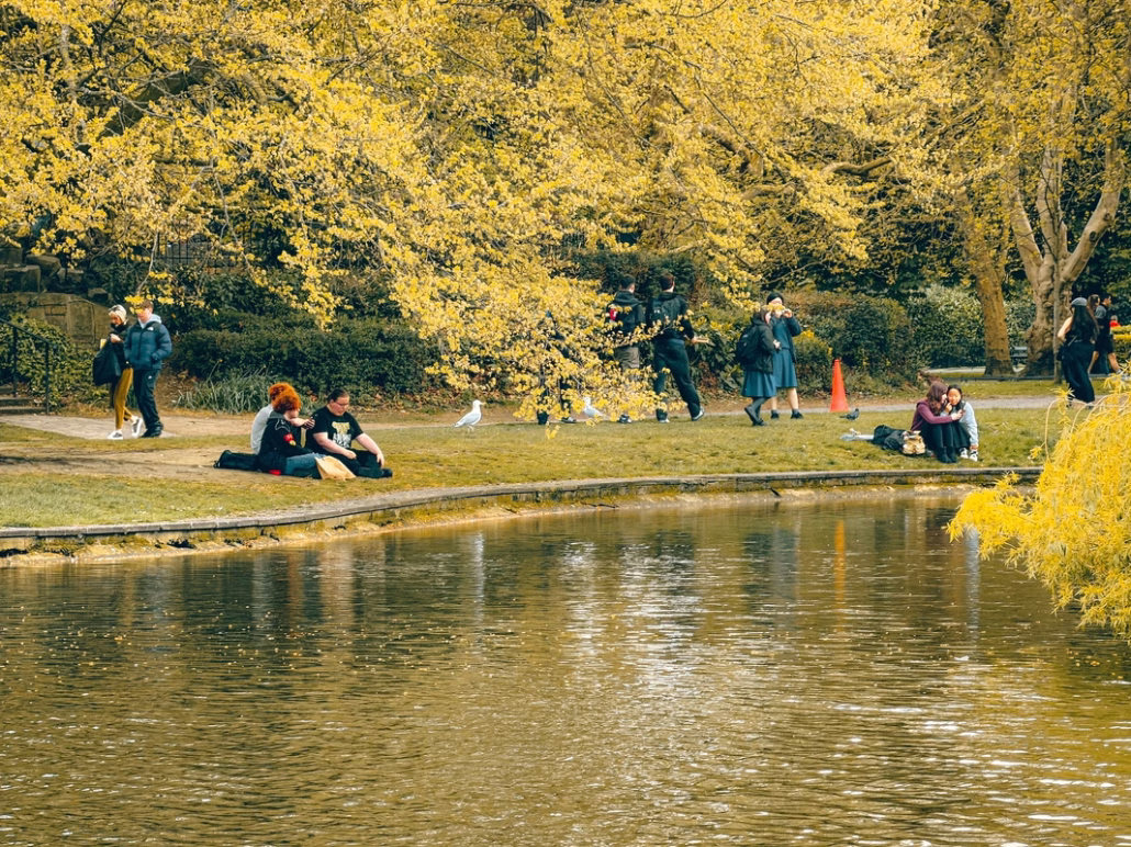 tininerario a dublino St. Stephen's Green